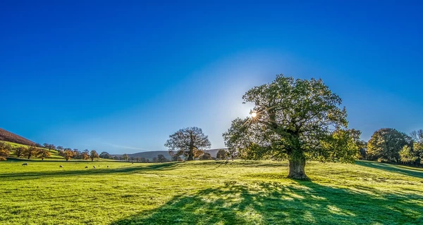 22 июня - какой сегодня праздник, традиции и обычаи, что нельзя делать, все об этом дне