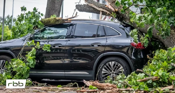 Внаслідок негоди у Німеччині загинула жінка, ще кілька людей серйозно травмовані