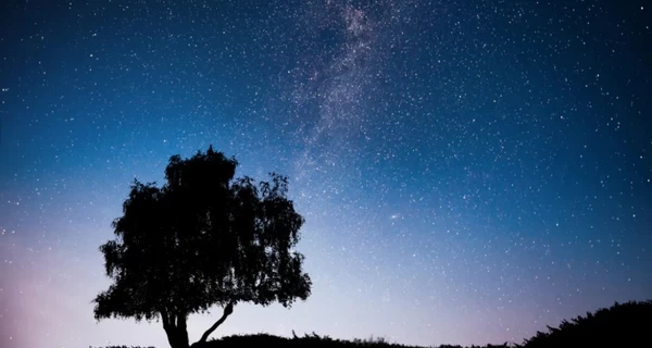 Над Украиной можно будет увидеть звездопад Боотиды – когда и где наблюдать