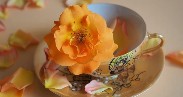 27 июня – какой сегодня праздник, что нельзя делать, традиции и запреты этого дня