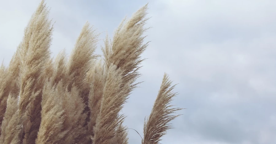 У вихідні в Україні буде сильний вітер, а на півдні та сході - дощі з грозою