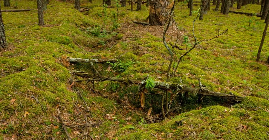 В Чернобыльской зоне нашли окопы времен Второй мировой войны