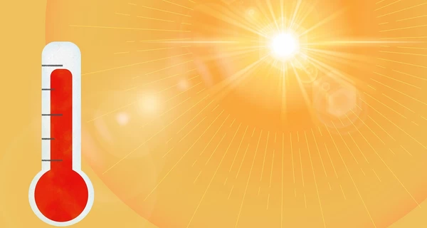 Из-за аномальной жары в Европе умерли пять человек