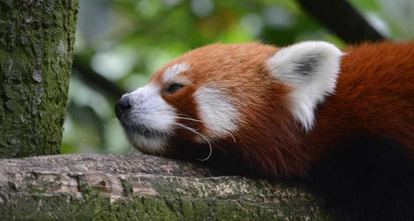 4 липня - яке сьогодні свято, що не можна робити, все про цей день