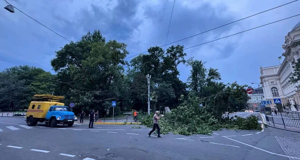 Львов накрыла сильная пылевая буря - дороги засыпаны деревьями