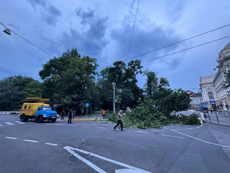 Львов накрыла сильная пылевая буря - дороги засыпаны деревьями