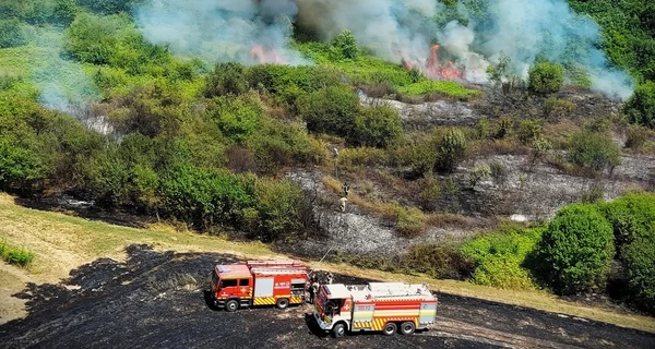 Из-за жары в Украине вспыхнули масштабные пожары, больше всего страдает Одесская область