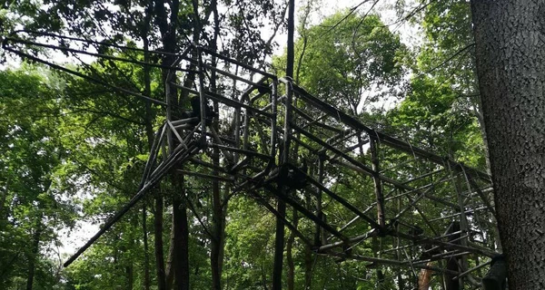 В Киеве произошел пожар на ВДНХ, сгорел огромный динозавр