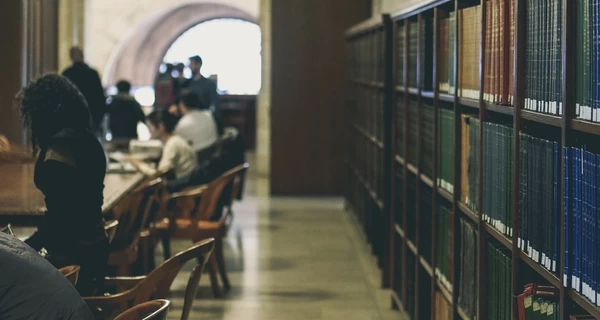 Украинцы чаще всего выбирают для обучения право, IT - в топ-5