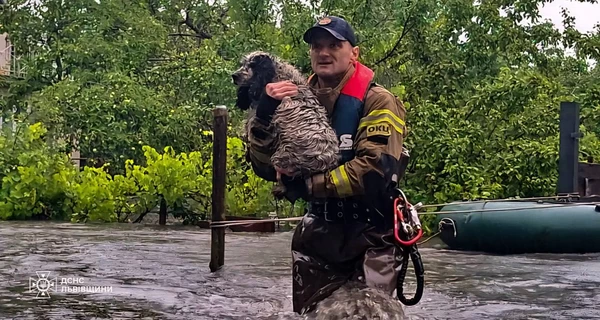 В результате непогоды на Львовщине на трассе Киев-Чоп произошел оползень, спасают людей и животных