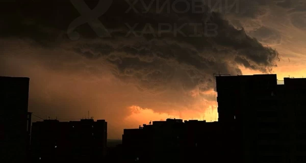 В Харькове и области из-за непогоды повалены деревья, подтоплены улицы, пропал свет