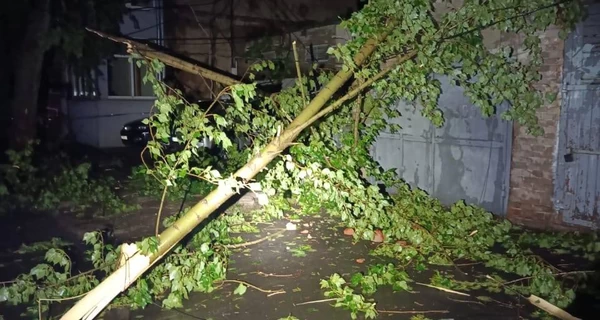 Непогода на Харьковщине: есть погибшая и пострадавшие, 30 тысяч абонентов без света