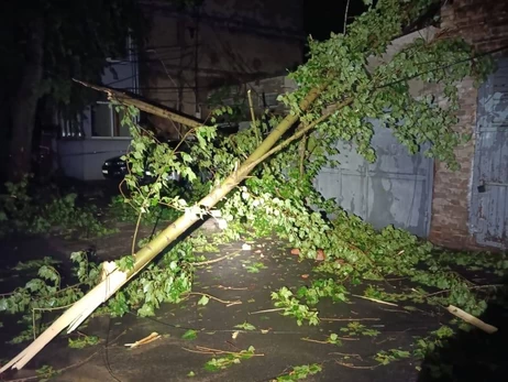 Непогода на Харьковщине: есть погибшая и пострадавшие, 30 тысяч абонентов без света