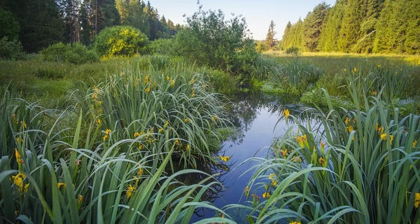 16 липня - яке сьогодні свято, що не можна робити, все про цей день