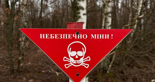 В Николаевской области на побережье взорвалась мина, есть пострадавший