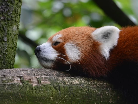 17 липня - яке свято, що сьогодні не можна робити, все про цей день