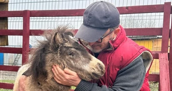 В Харьковской области пони ослеп из-за взрыва российского дрона