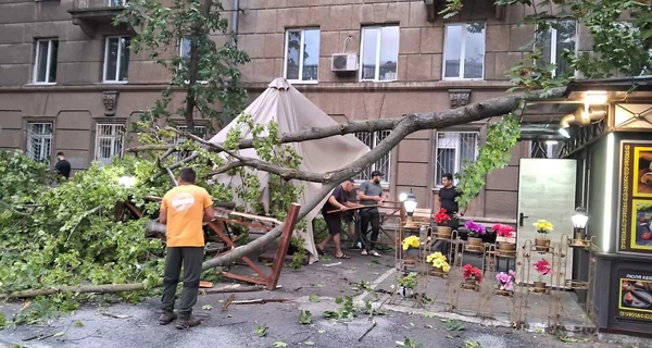 Ураган в Одессе - поваленные деревья, разбитые автомобили, а в море могут дрейфовать мины