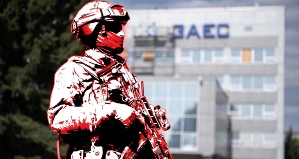 Задымление в районе Запорожской АЭС вызвано с лесным пожаром, - МАГАТЭ