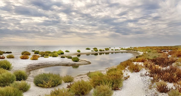 На временно оккупированной Кинбурнской косе появился украинский флаг