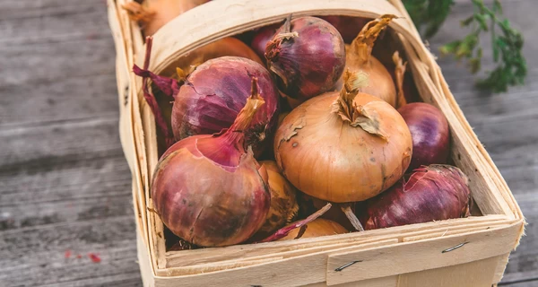 Як прибрати гіркоту цибулі: дієві способи