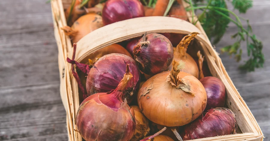 Як прибрати гіркоту цибулі: дієві способи