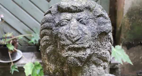 На площади Рынок во Львове установили уникальную скульптуру льва XVII века