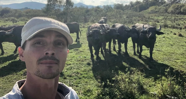 Немец-эколог из Закарпатья: Мои буйволы «работают» садовниками в Долине нарциссов