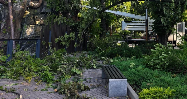 В Киевском зоопарке ураган разрушил часть вольеров и повалил деревья