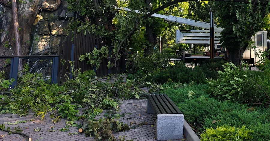 В Киевском зоопарке ураган разрушил часть вольеров и повалил деревья