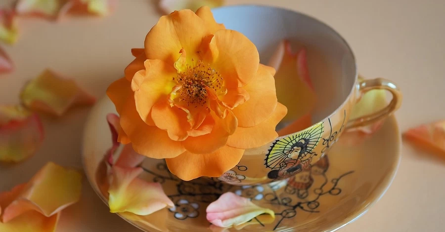 24 июля - какой церковный праздник, все об этом дне, что сегодня нельзя делать