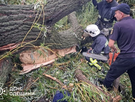 На Одещині дерево впало на намет з дітьми, загинув хлопець