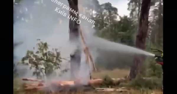 В Киеве молния попала в сосну в парке Пртизанской славы, спасатели тушат пожар