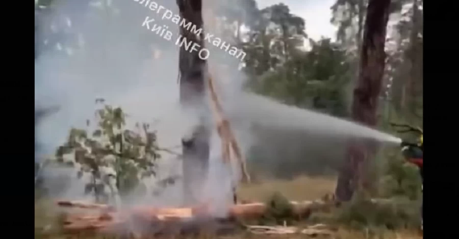 В Киеве молния попала в сосну в парке Пртизанской славы, спасатели тушат пожар