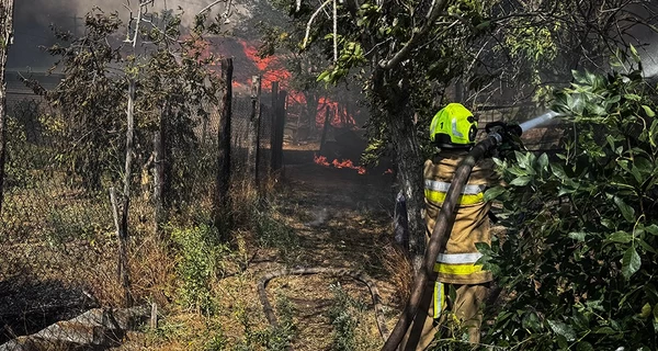 В Николаевской области критическая ситуация - огонь из сухой травы перекинулся на дома