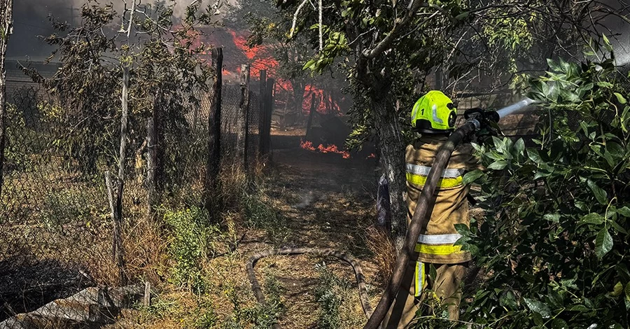 В Николаевской области критическая ситуация - огонь из сухой травы перекинулся на дома