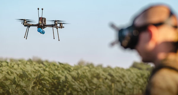 Правительство добавило новое направление в программу 