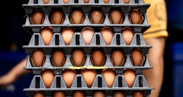 Цены на продукты в Украине сравнялись с европейскими, - Нацбанк