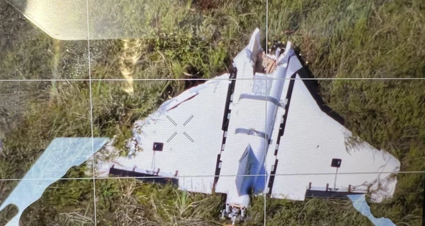 Инцидент с дроном в Литве расследуют как эпизод военных преступлений в Украине