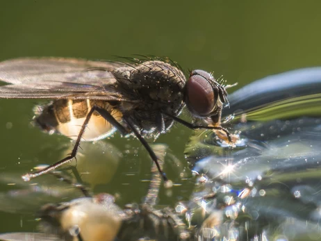 У середу спека в Україні посилиться - прогнозують до +37 градусів
