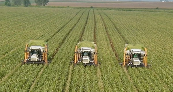 Продолжаем анализ агрохолдинга Артура Золотаревского и его шефа — Геннадия Боголюбова