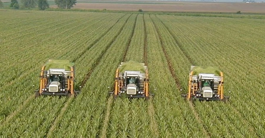 Продовжуємо аналіз агрохолдингу Артура Золотаревського та його шефа - Геннадія Боголюбова