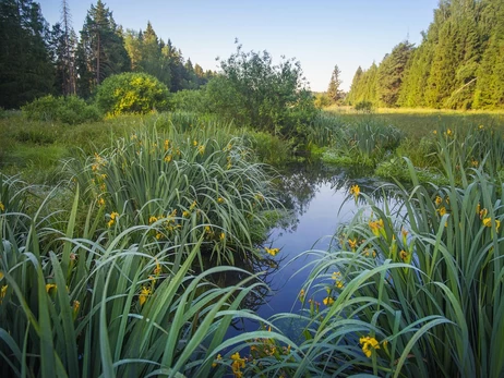 8 серпня - Росія напала на Грузію, яке сьогодні церковне свято, що не можна робити