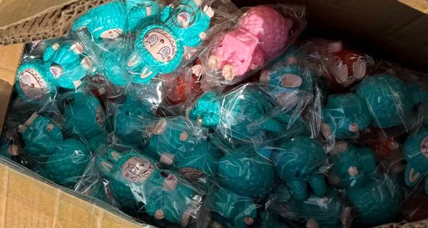 Закарпатские таможенники остановили фуру с почти 8 тысячами игрушек 