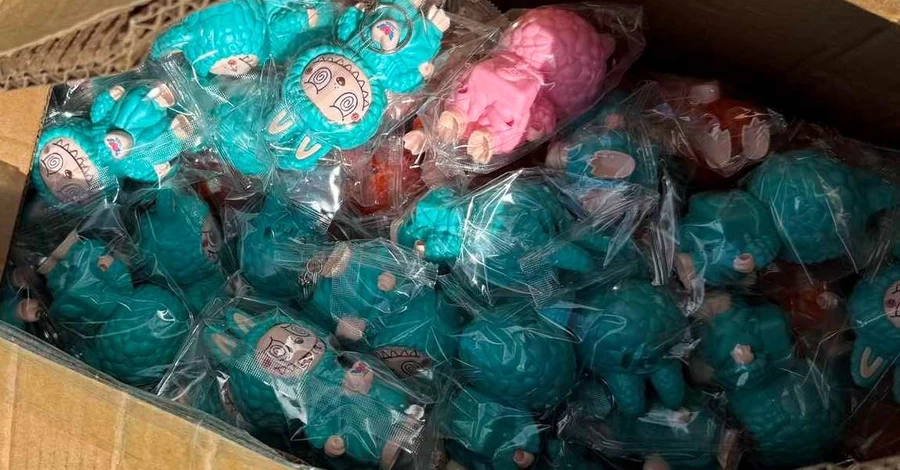 Закарпатские таможенники остановили фуру с почти 8 тысячами игрушек 