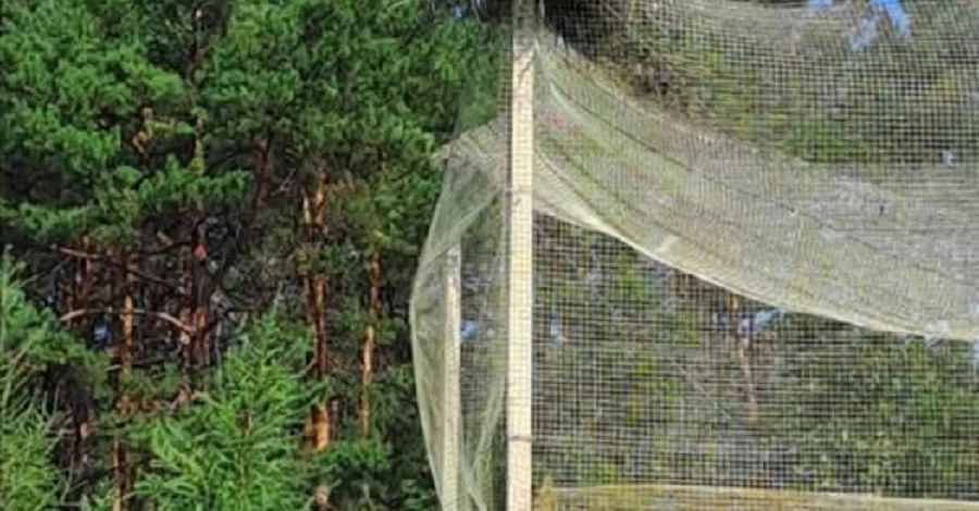 Аисты Катруся и Карпик улетели на зимовку