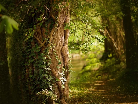 16 августа в Украине будет до +32 градусов – влияние антициклона