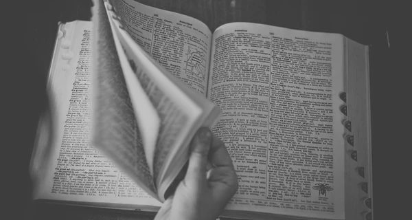 В Кембриджском словаре появились слова из соцсетей - 