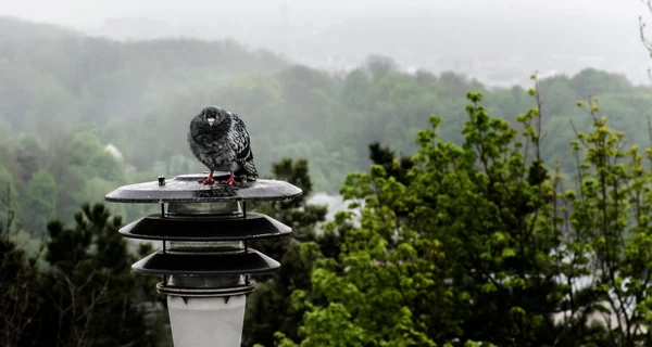 22 августа – какой сегодня праздник, что нельзя делать, все об этом дне