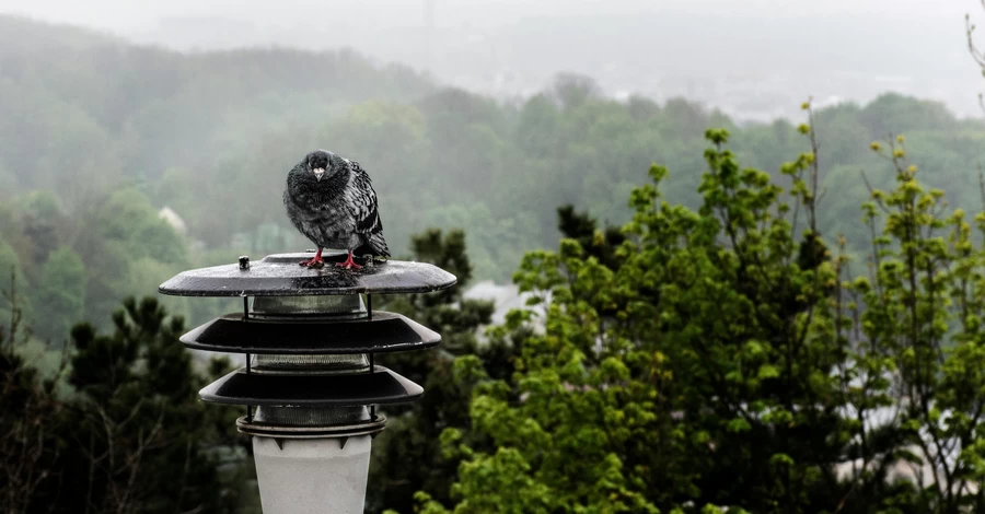 22 августа – какой сегодня праздник, что нельзя делать, все об этом дне